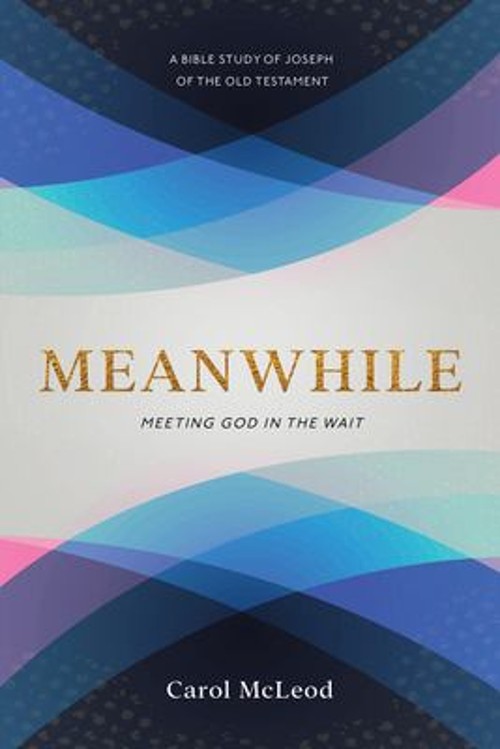 Meanwhile : Meeting God in the Wait Paperback Carol McLeod