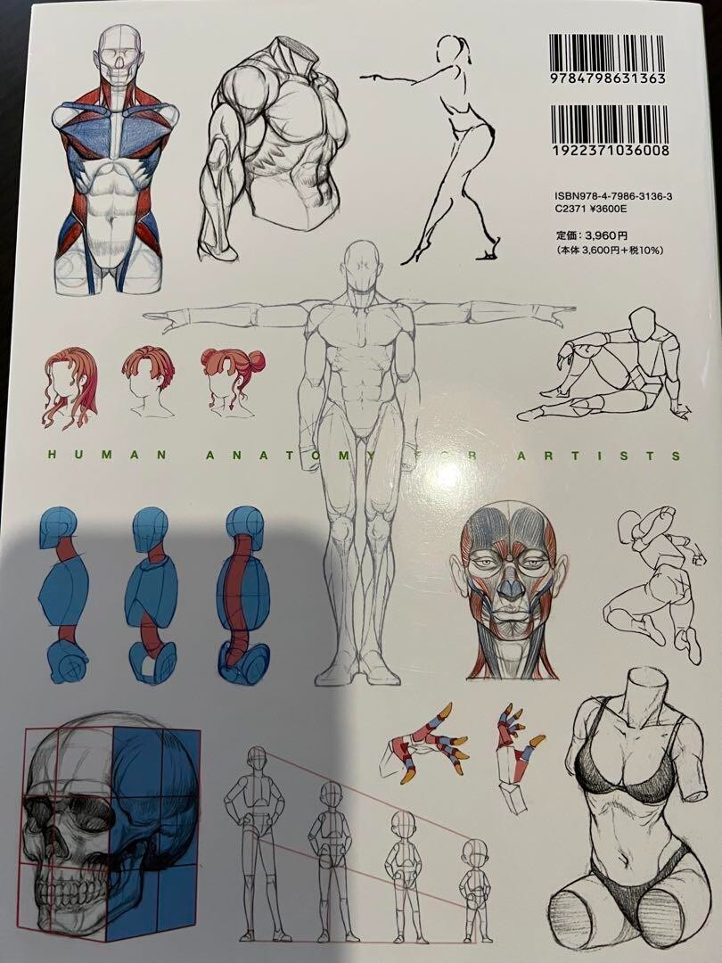Master Guide to Drawing the Human Body Character Drawing from the Basics book