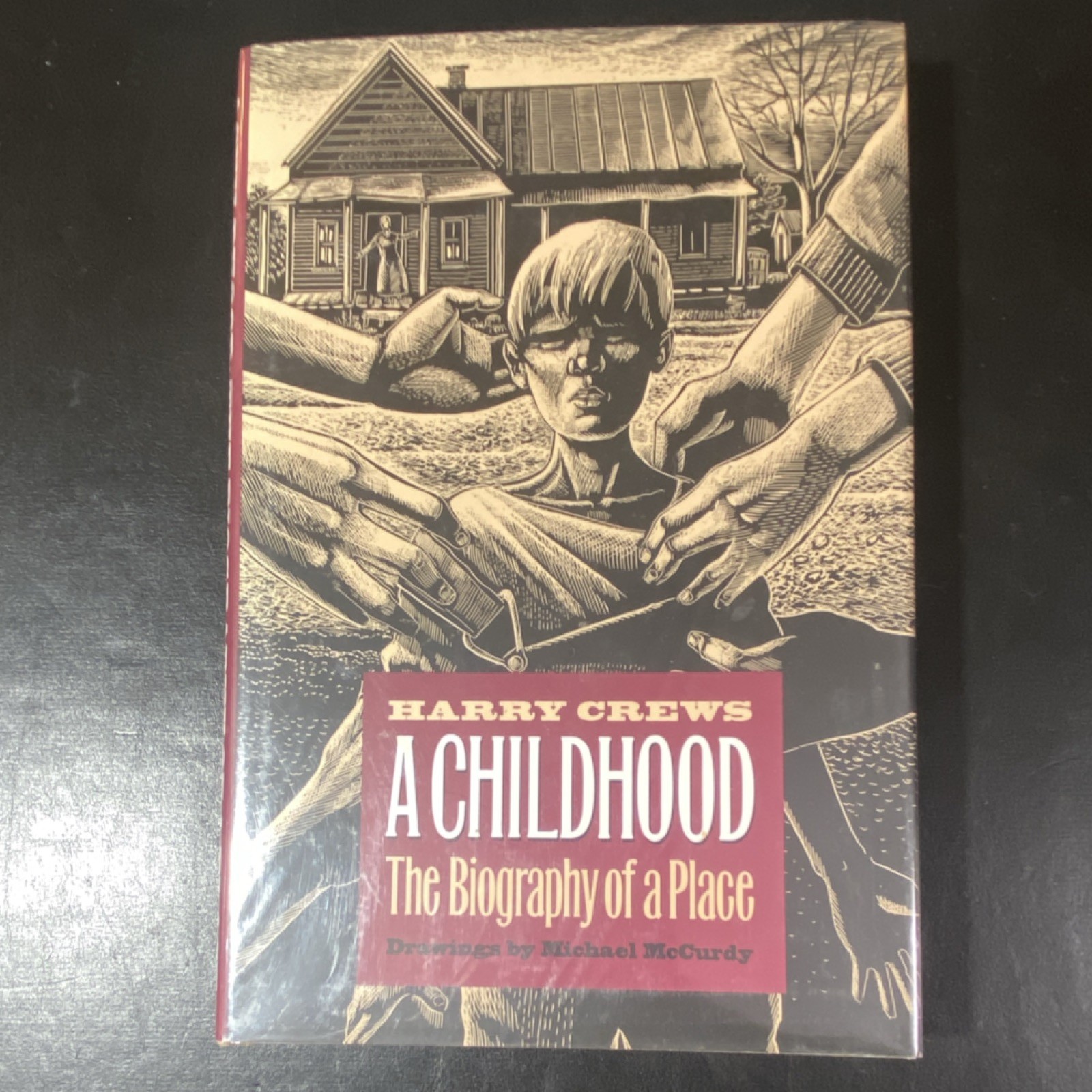 A Childhood by Harry Crews Hardcover 1995 Univ of Georgia Press Dust Jacket