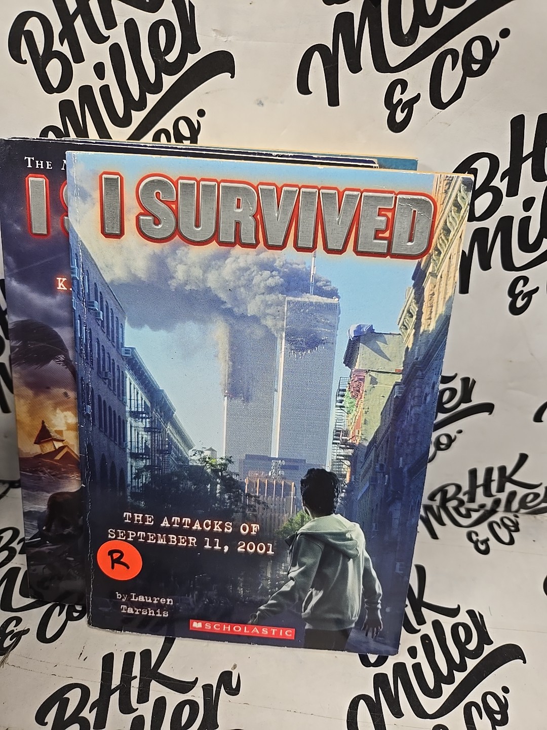I SURVIVED Series Chapter Books by Lauren Tarshis Lot of 10
