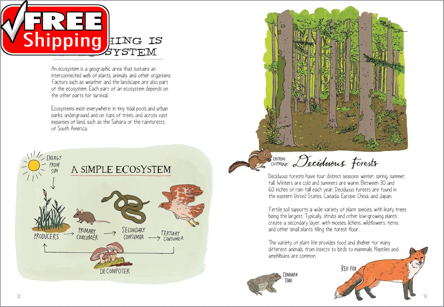 Wildlife Anatomy: the Curious Lives & Features of Wild Animals around the World