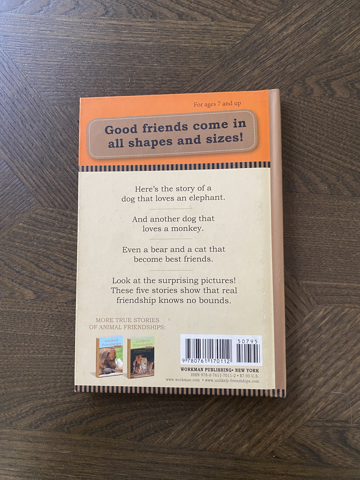 Unlikely Friendships for Kids: The Monkey and the Dove, Jennifer S Holland