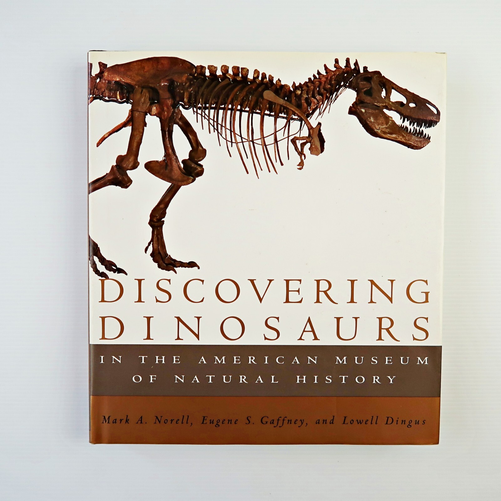 Discovering Dinosaurs: In the American Museum… (Books)