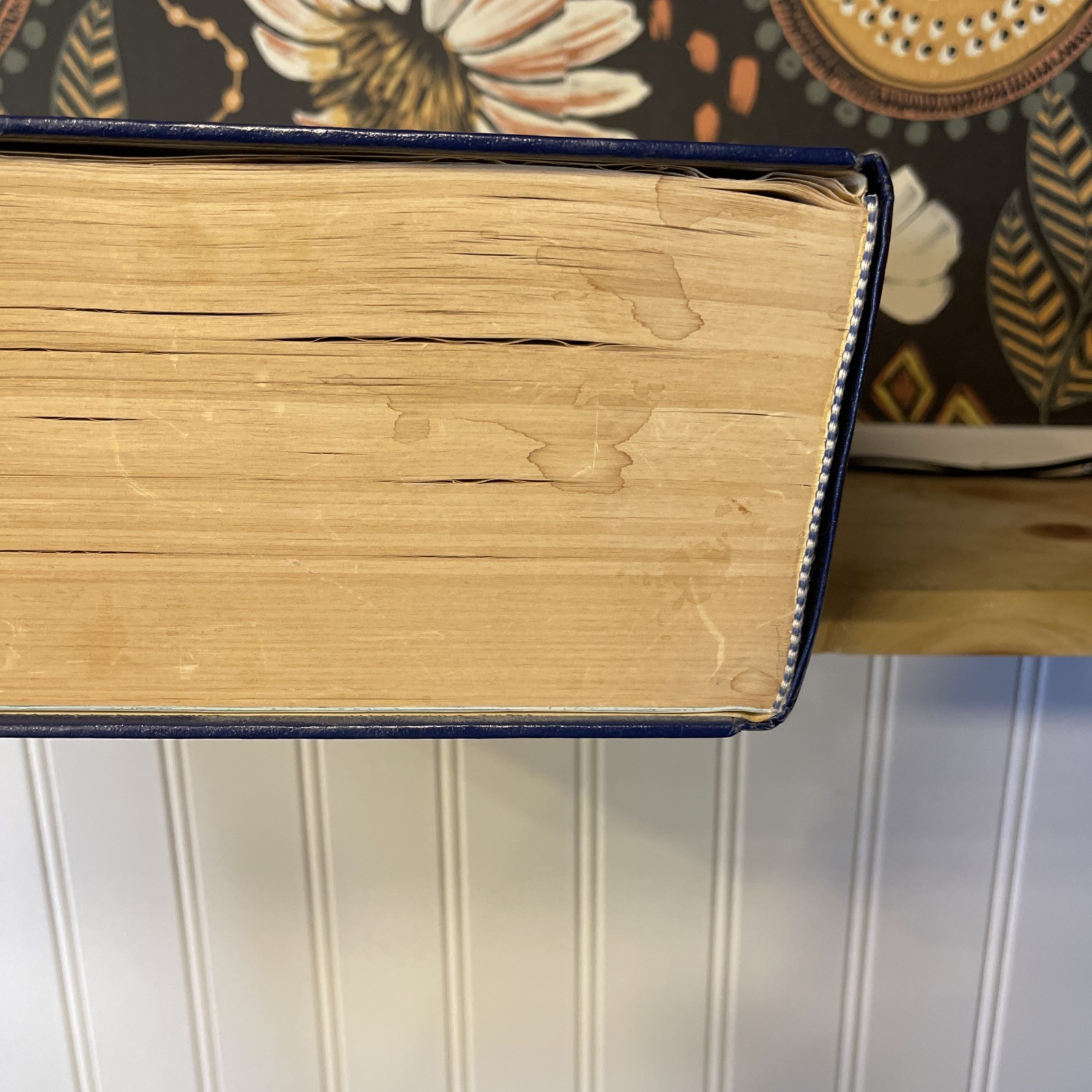 Webster’s New Universal Unabridged Dictionary: Deluxe Second Edition 1979 HC C5