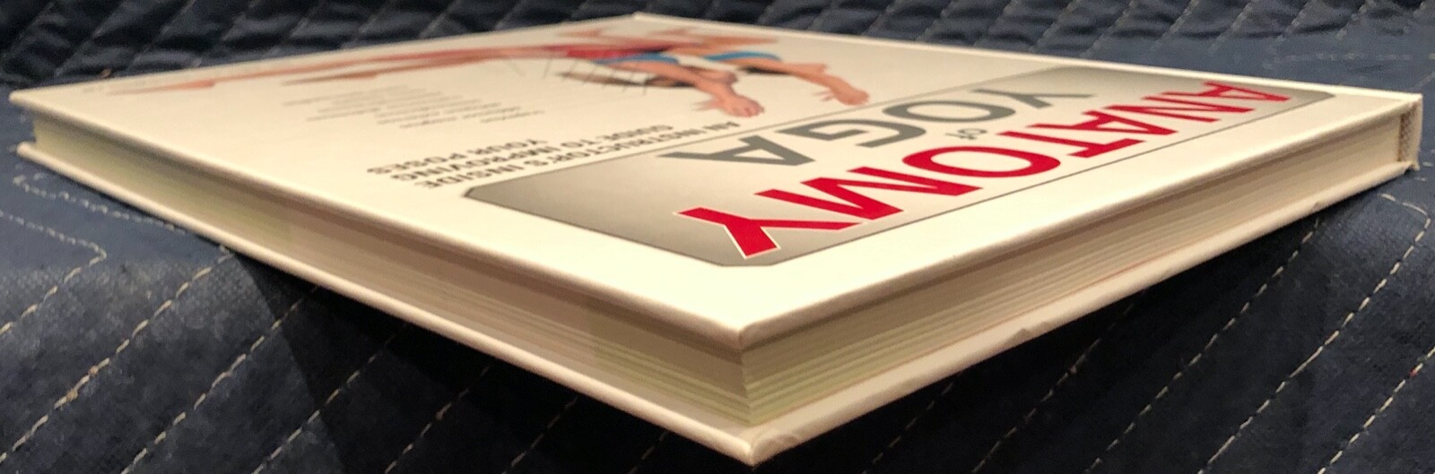 Anatomy Of Ser.: Anatomy of Yoga : An Instructor’s Inside Guide to Improving…