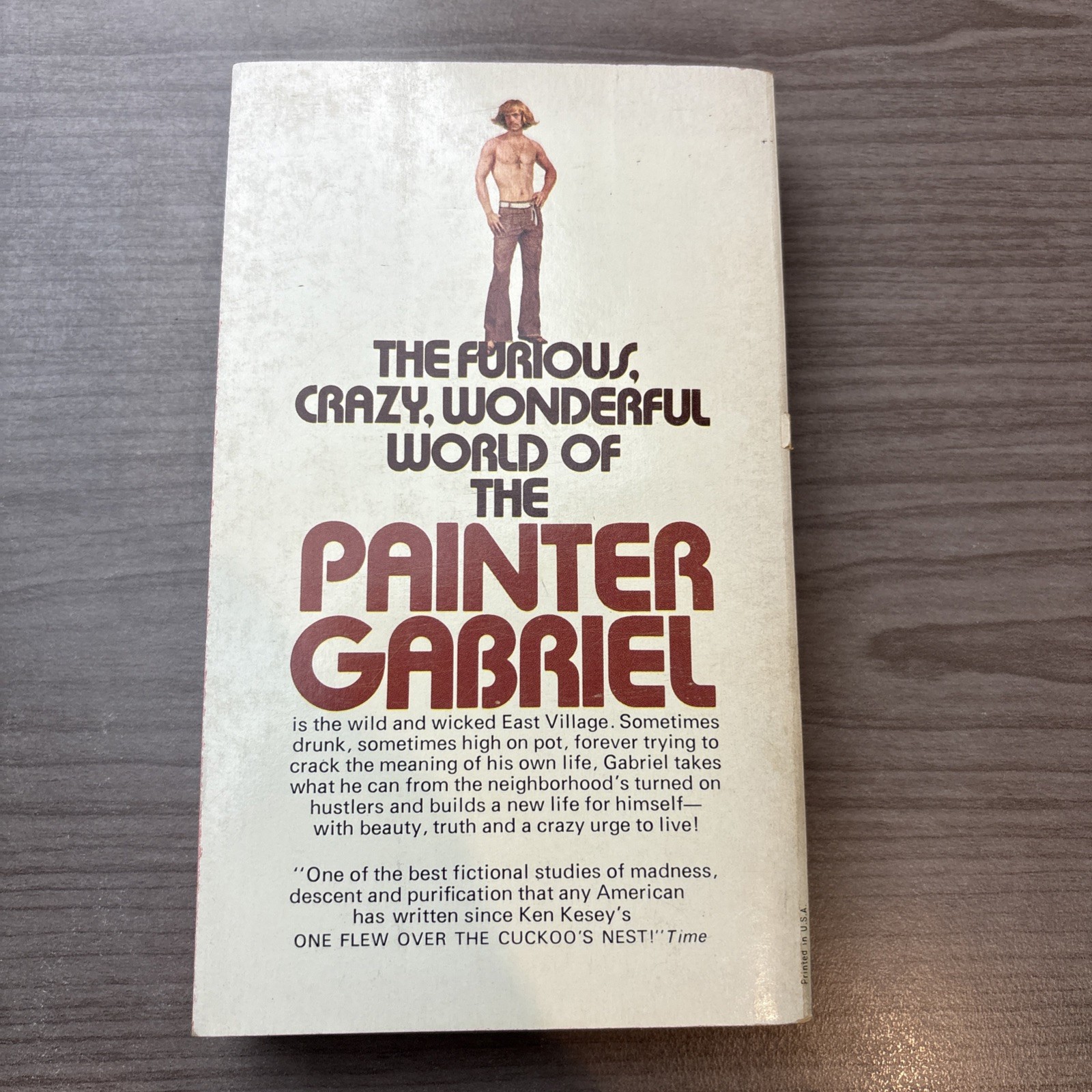 The Painter Gabriel – Donald Newlove Vtg Paperback 1972 1st Avon Printing Rare