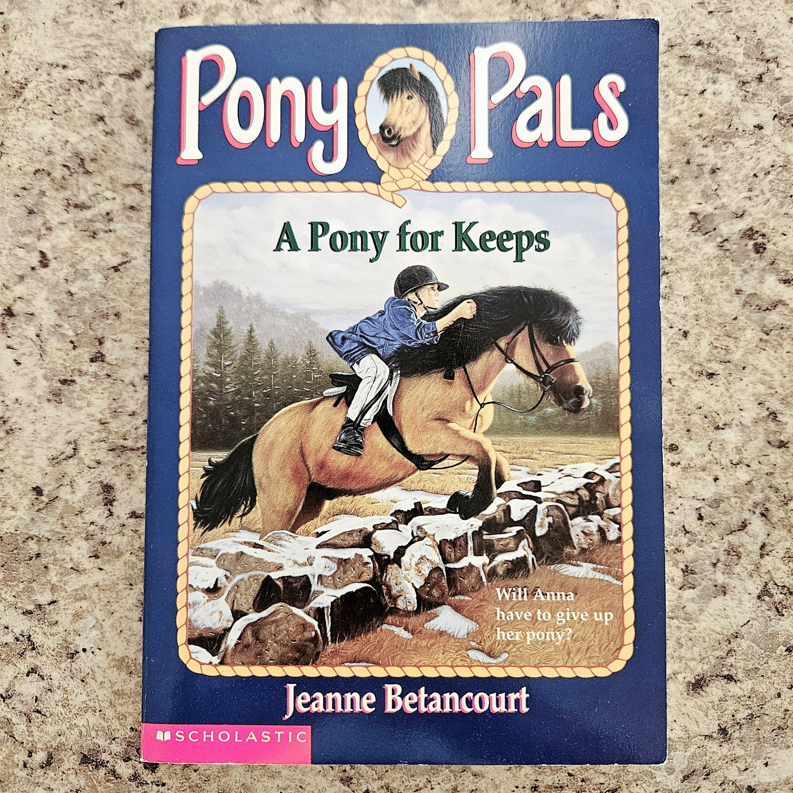 Lot of 3 PONY PALS Chapter Books by Jeanne Betancourt – Scholastic RL3 – HORSES