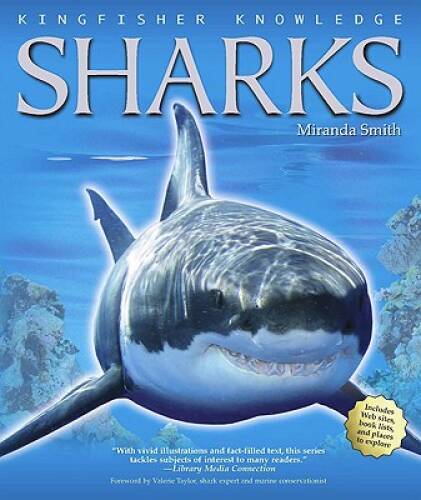 Kingfisher Knowledge: Sharks – Paperback By Smith, Miranda – GOOD