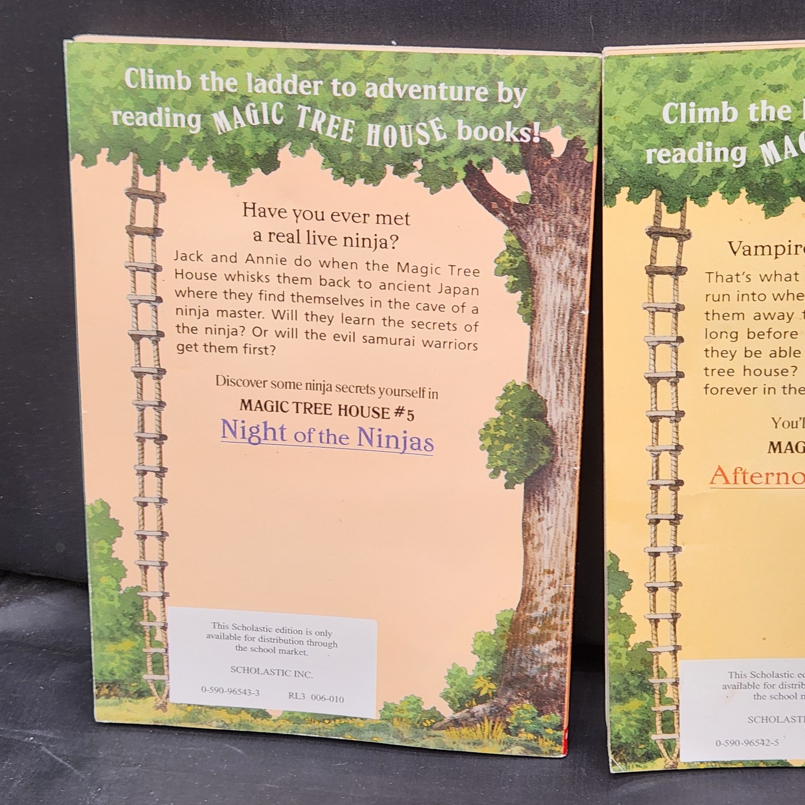 Magic Tree House Osbourne Good Morning Gorillas Night Ninjas Afternoon Amazon