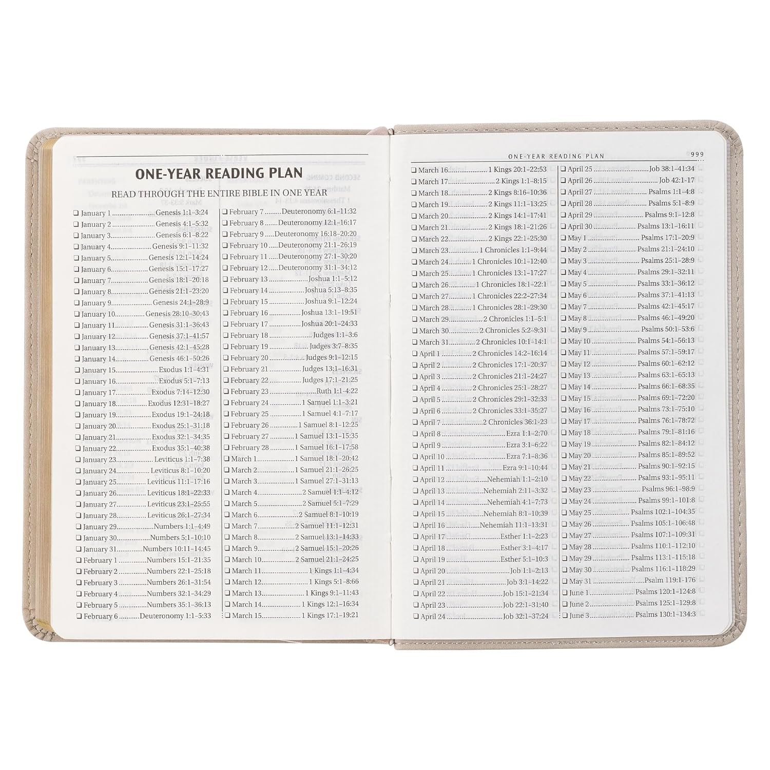 Holy Bible, Compact Vegan Leather Red Letter Edition – Ribbon Marker, King James