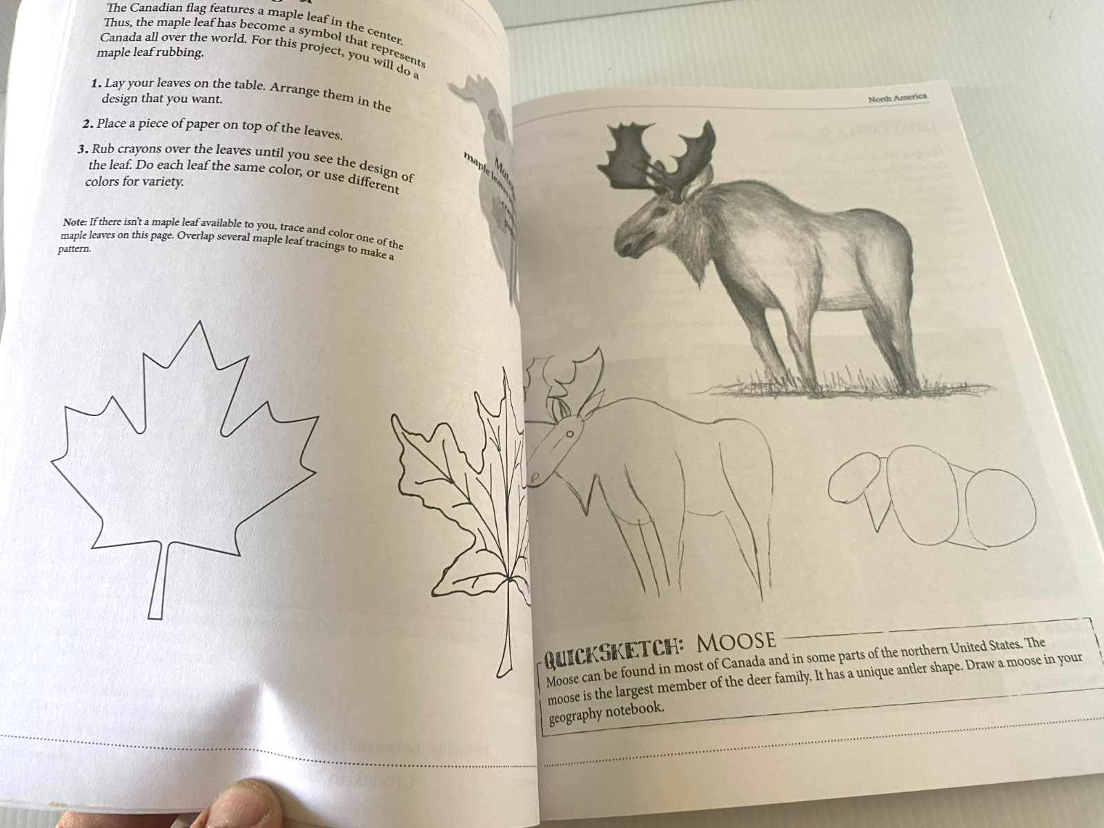 Geography Through Art: U.S. & Intl Art Projects for Kids Ages 9-12
