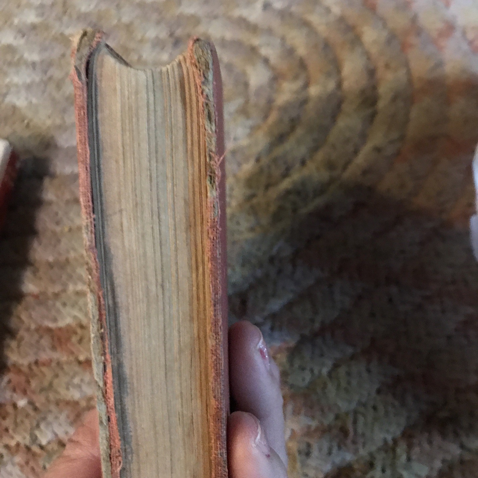 Sunshine and Roses book, by charlotte m. braeme,Hardcover antique