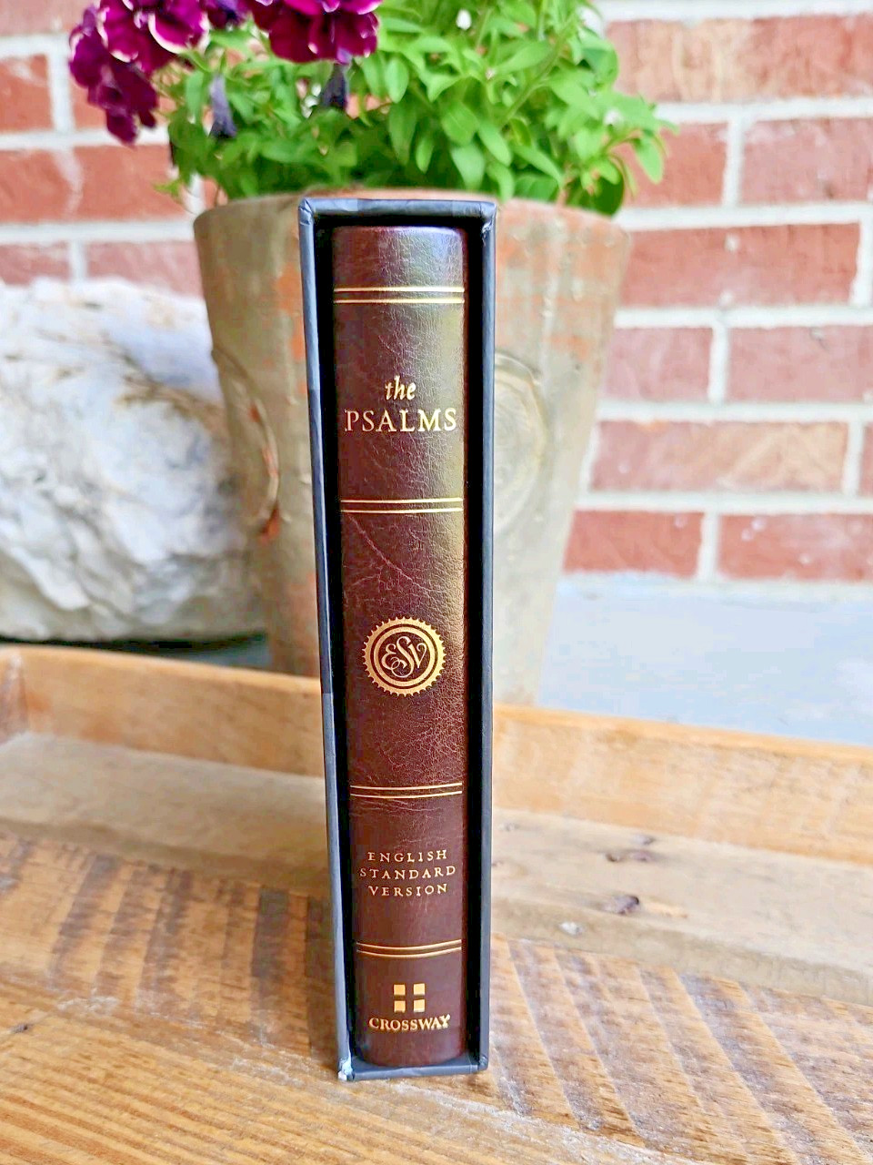 Boxed! Psalms, ESV (Summer Garden 2016, Hardcover) beautiful & OOP VG!