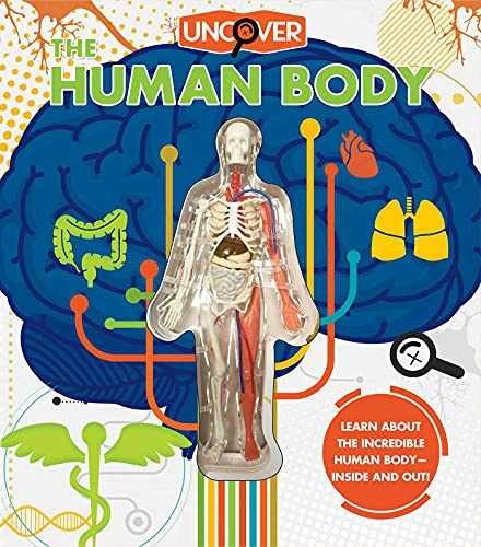 Uncover the Human Body – Hardcover, by Colombo Luann – Very Good