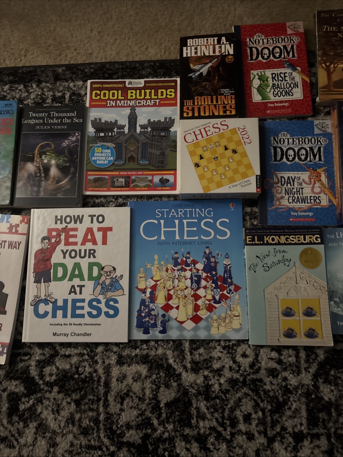 17 Books and 1 Puzzle