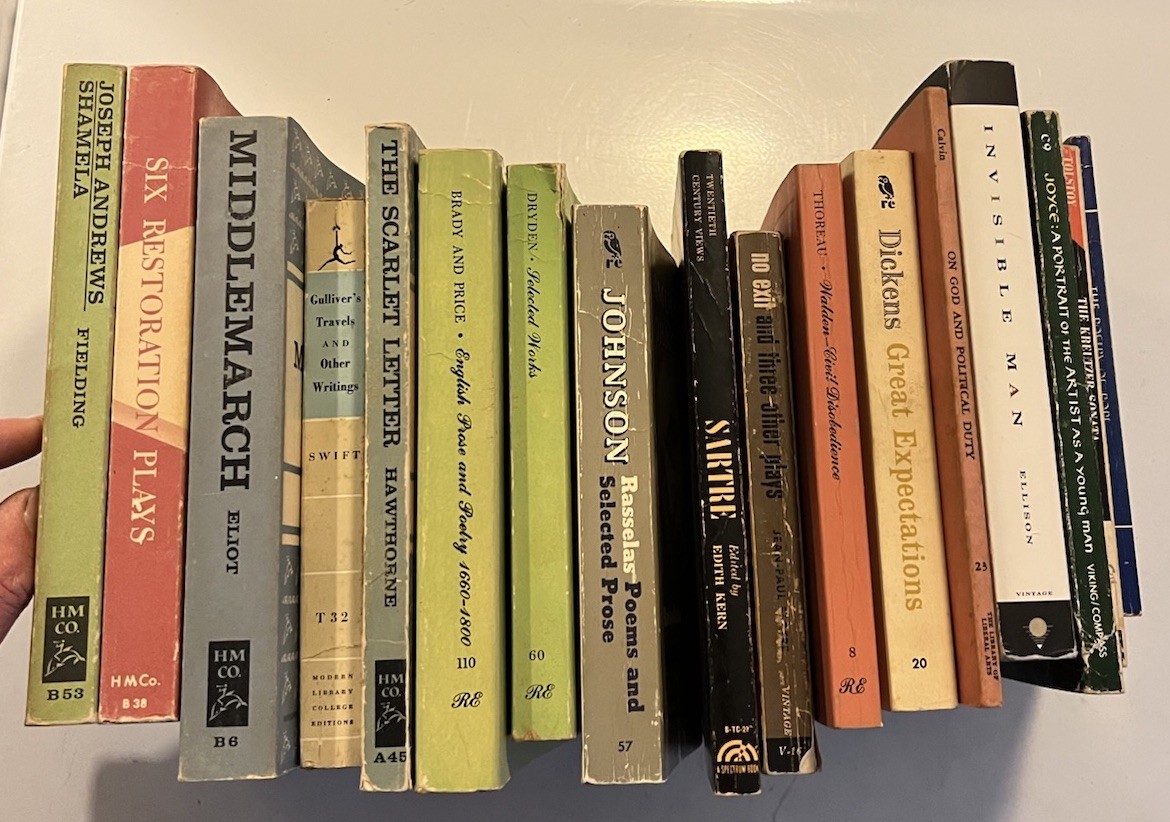 Lot 17 Vintage 60’s 70’s Literature Classics Drama Novels Paperback Books Mix