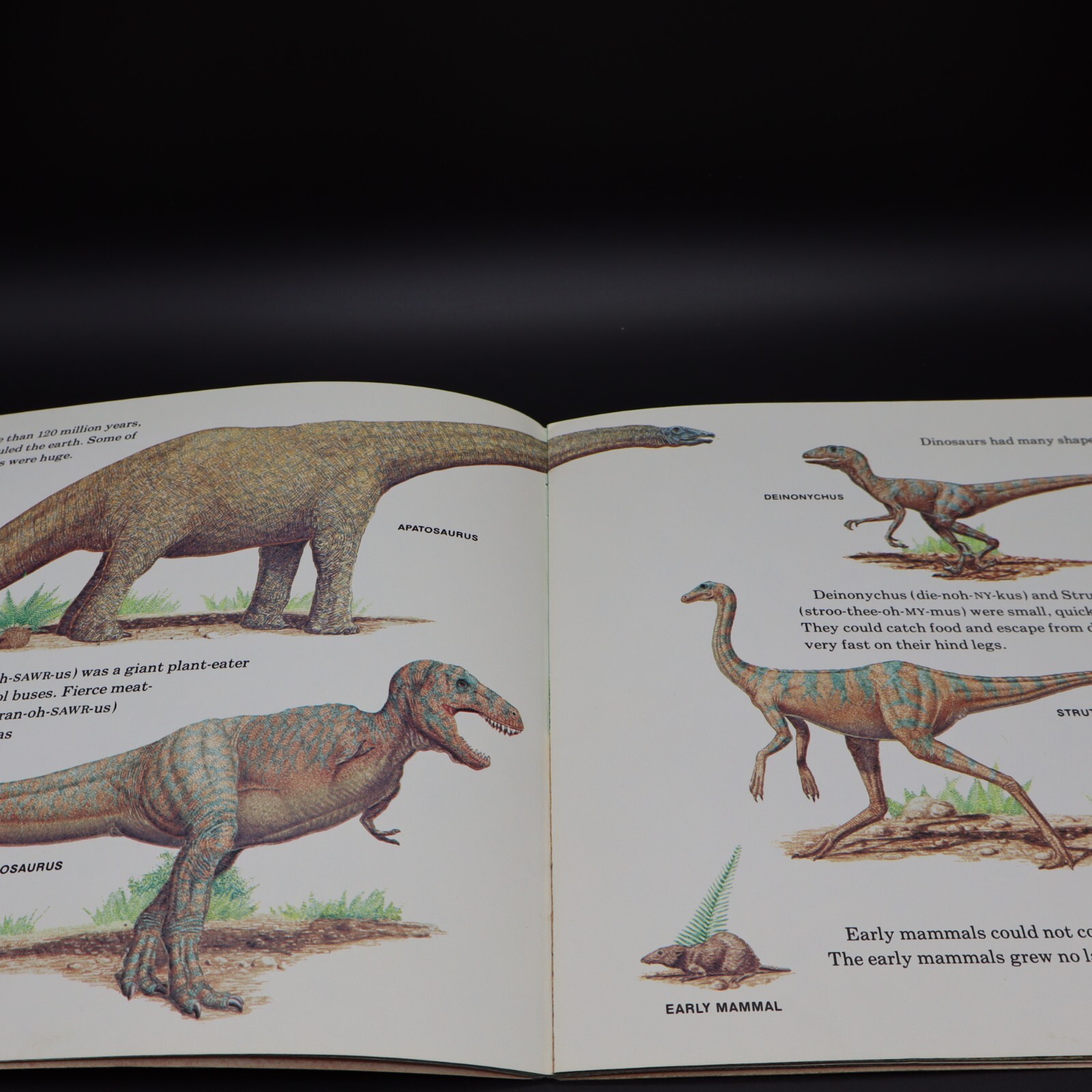 Prehistoric Animals By Peter Zallinger Childrens Book Random House Vintage 1978