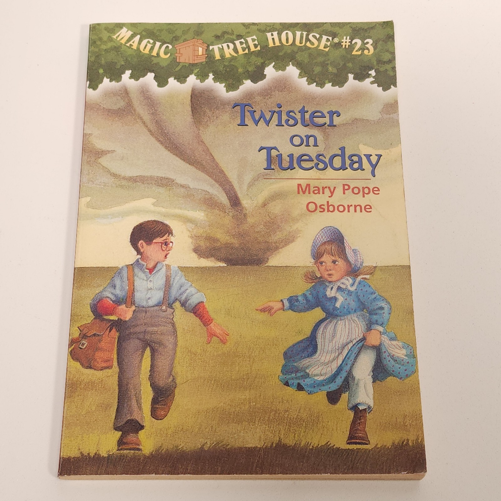 Magic Tree House Lot 9 Chapter Books Mary Pope Osborne 2 3 8 9 10 13 16 19 23