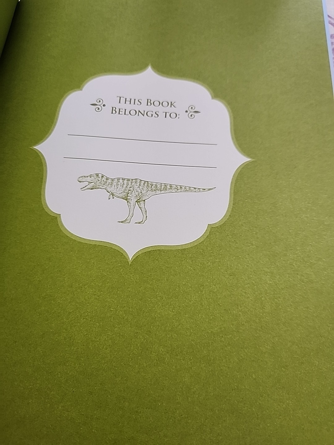 Jurassic Animal Encyclopedia Activity Journal Includes Stickers and Poster