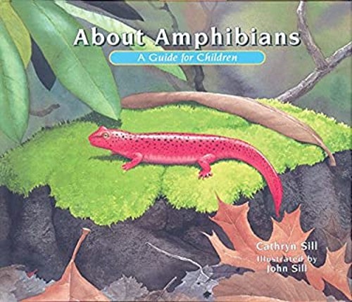 About Amphibians : A Guide for Children Hardcover Cathryn Sill