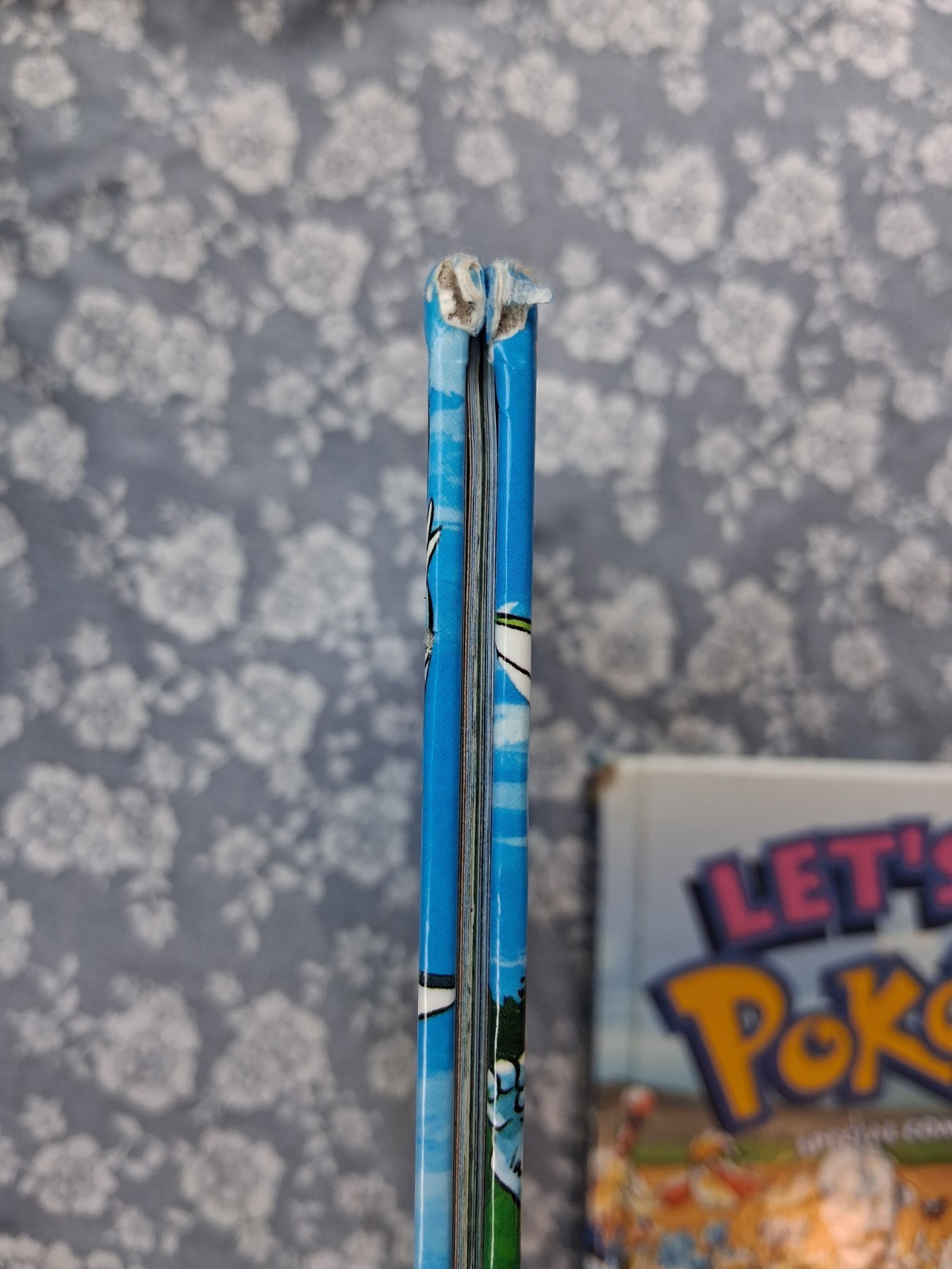 Pair of “Let’s Find Pokemon!” Hardcover GOLD & SILVER / SPECIAL COMPLETE EDITION