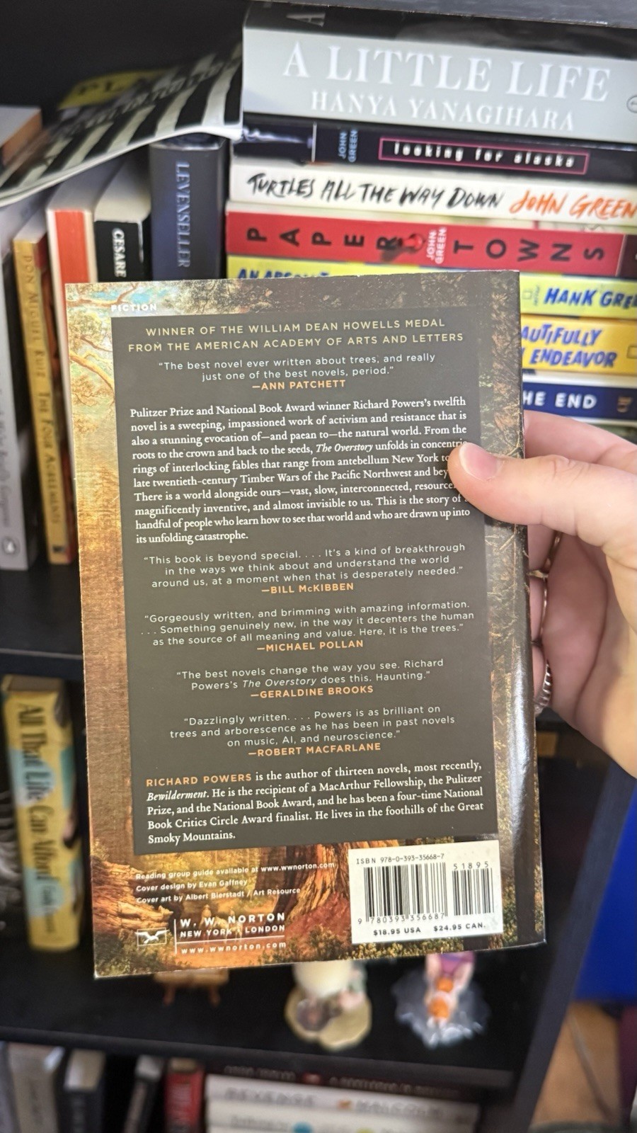 Overstory : A Novel by Richard Powers (2019, Trade Paperback)
