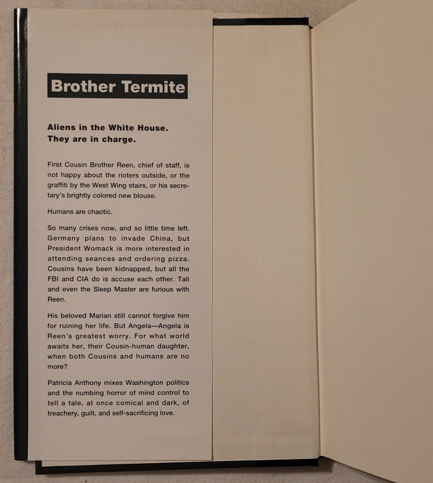 Brother Termite by Patricia Anthony 1993 Hardcover Dust Jacket Vintage