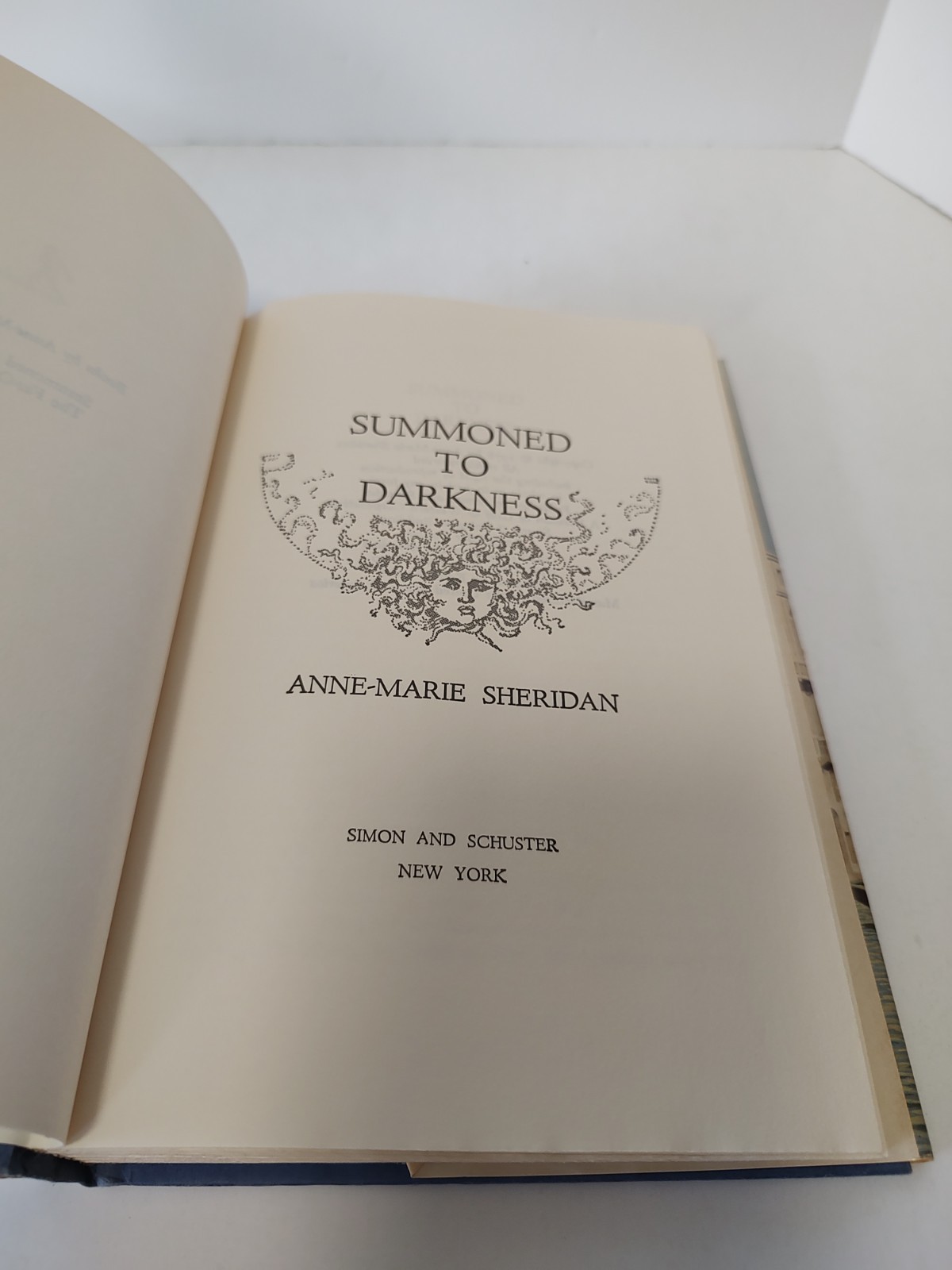 Summoned to Darkness a novel by Anne-Marie Sheridan Mystery Suspense Drama