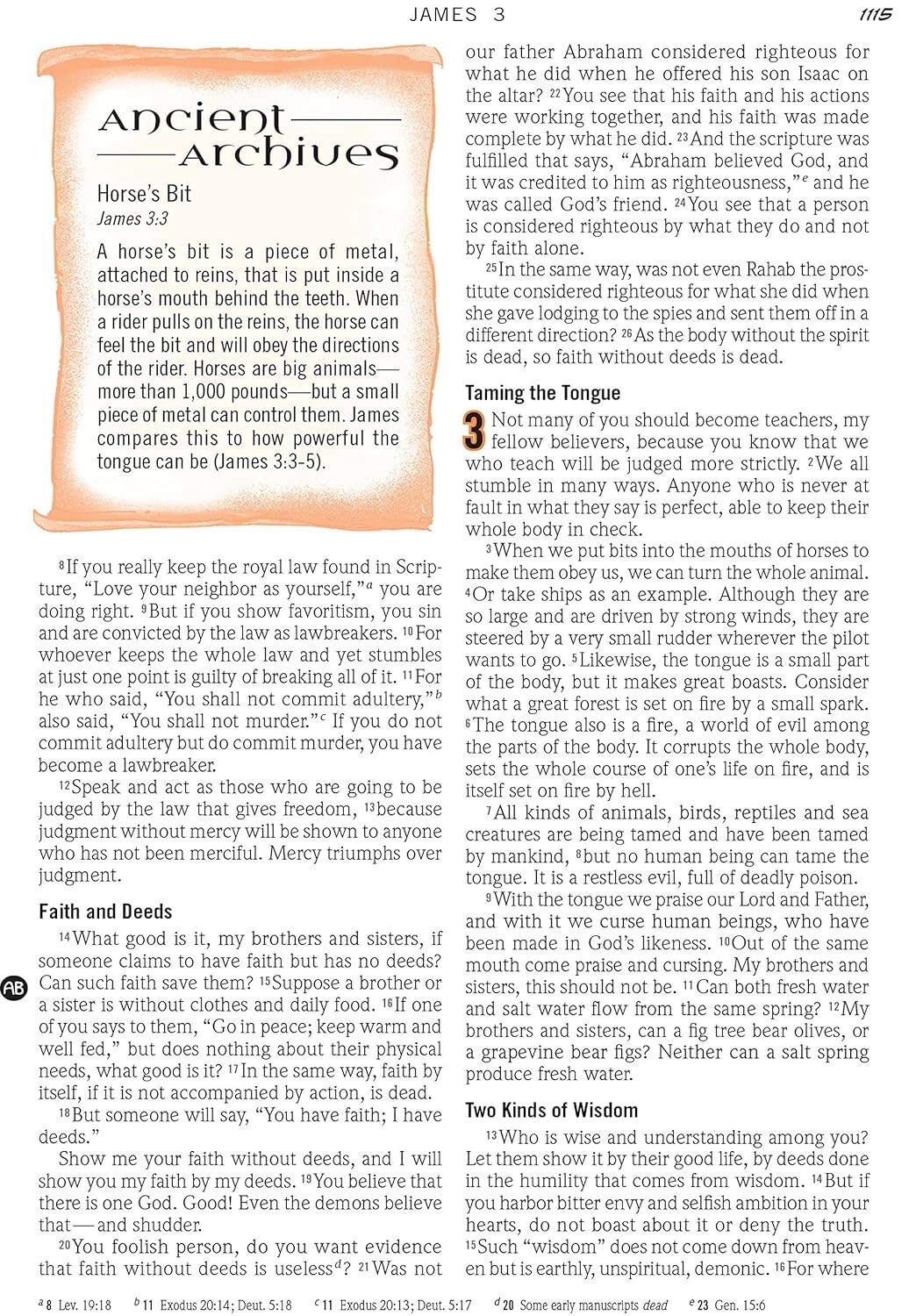 The NIV Action Study Bible – Premium Edition by Sergio Cariello / David C. Cook