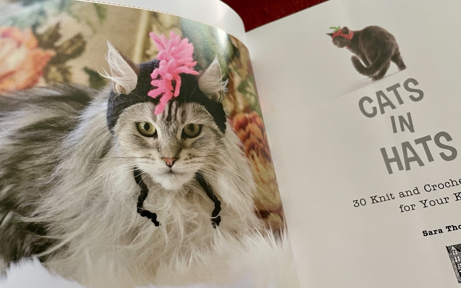 Cats in Hats: 30 Knit & Crochet Patterns for Your Kitty- Sara Thomas EUC PB 2015