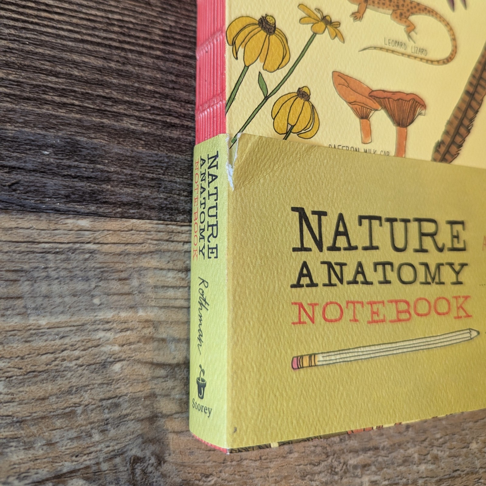 Nature Anatomy Notebook Julia Rothman Unused