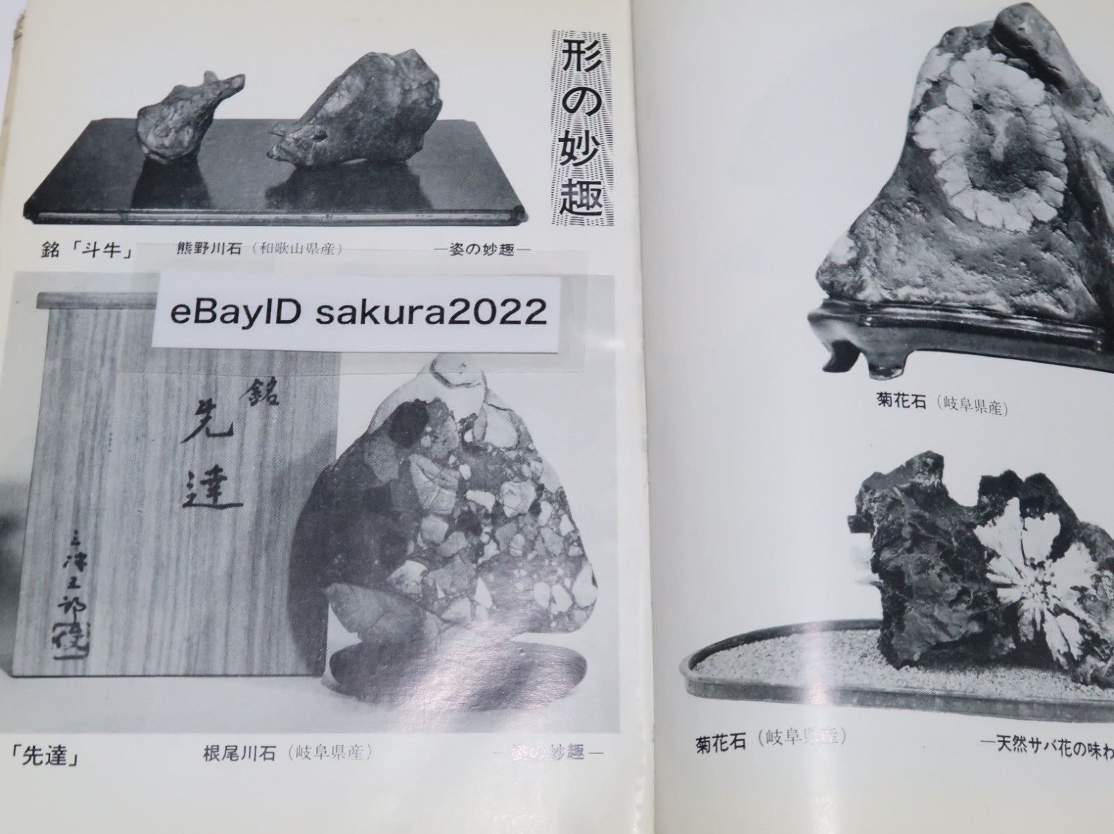 1968 Vintage Suiseki Book An Introduction to the Hobby of Suiseki Keiji Murata