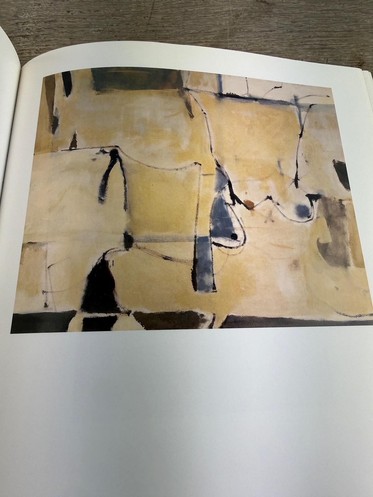 Vintage 1997 The Art Of Richard Diebenkorn Livingston HC DJ Whitney Illus USA