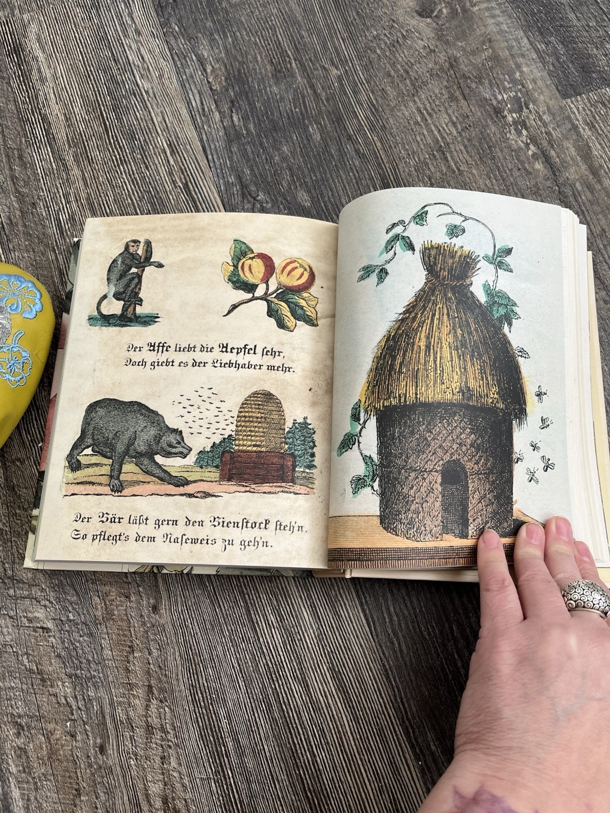John Derian! Hardcover Sticker Book “The Magic Continues” Over 800 Stickers! New