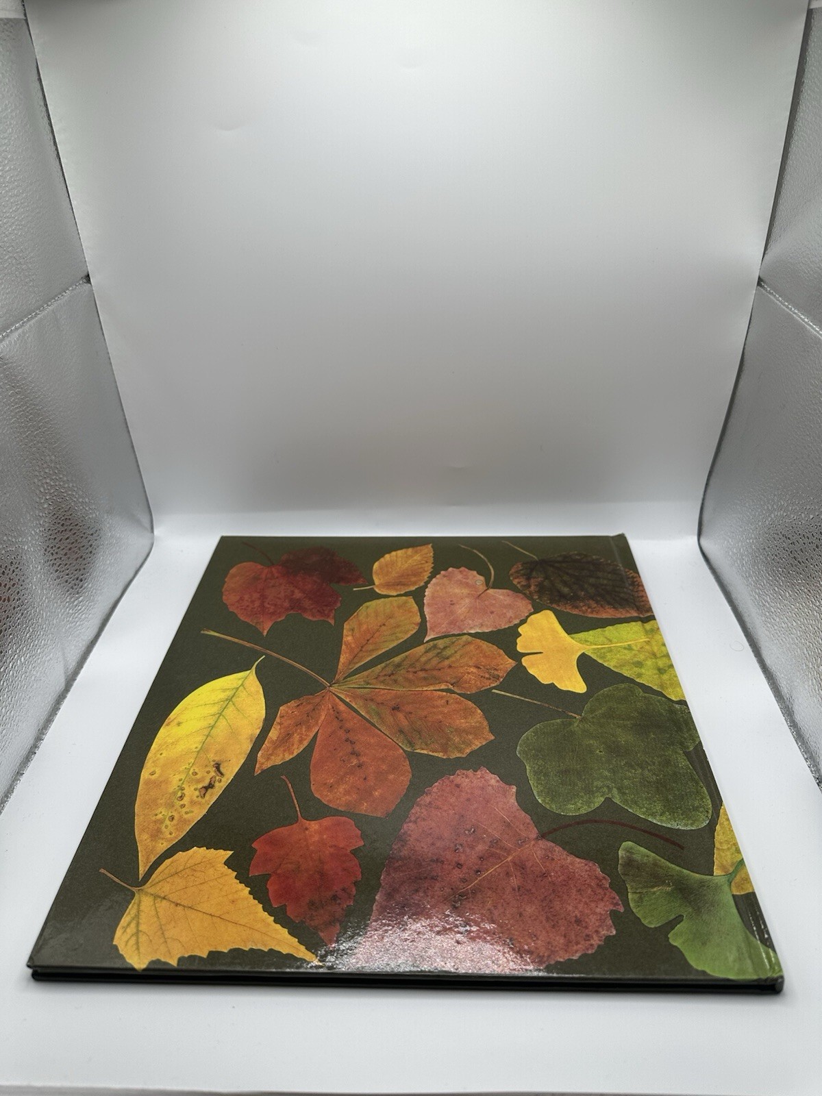 Leaf Man By Lois Ehlert