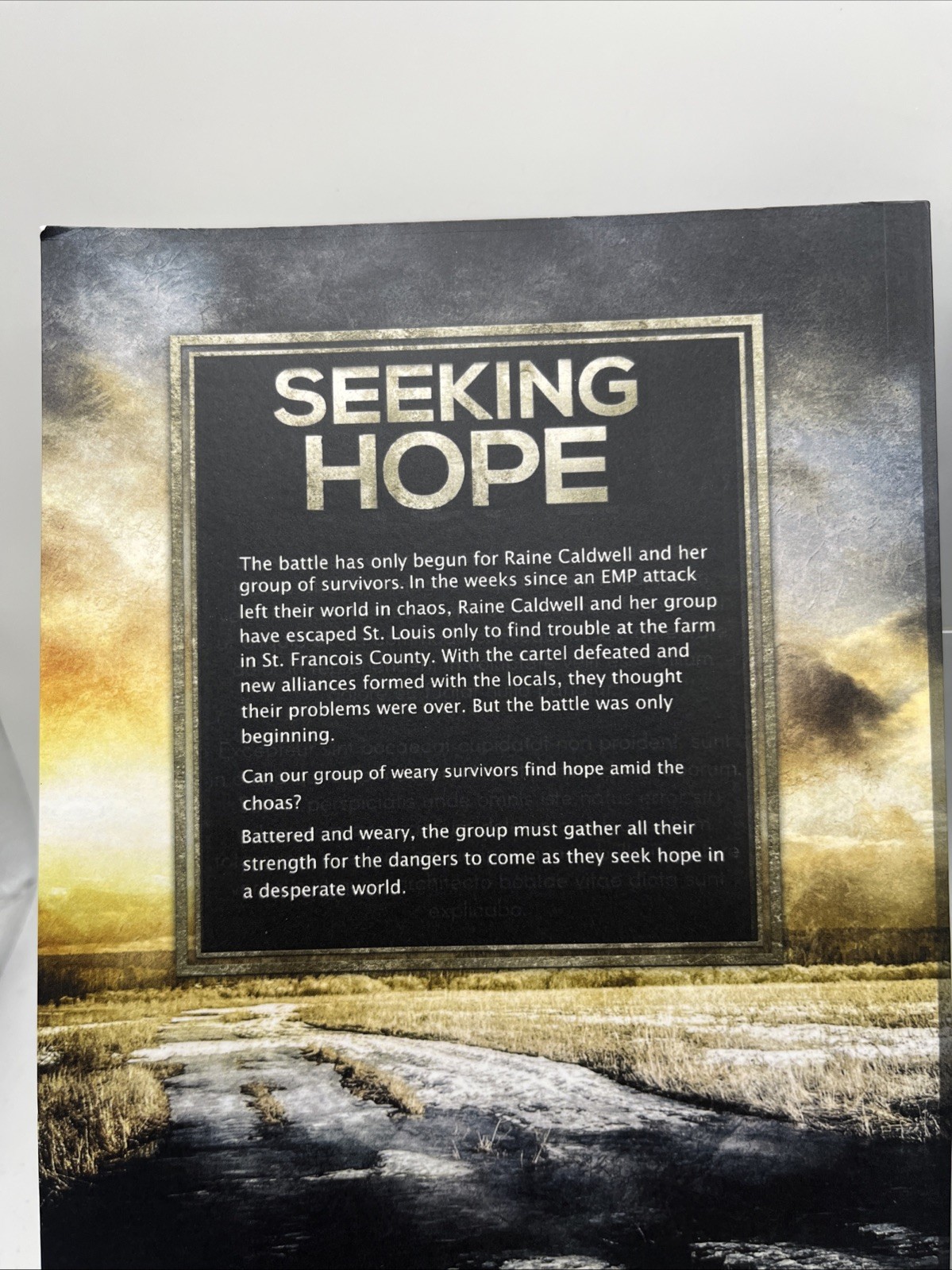 Gateway to chaos book series set of 2- Book 3 Seeking Hope & 4 Seeking Justice