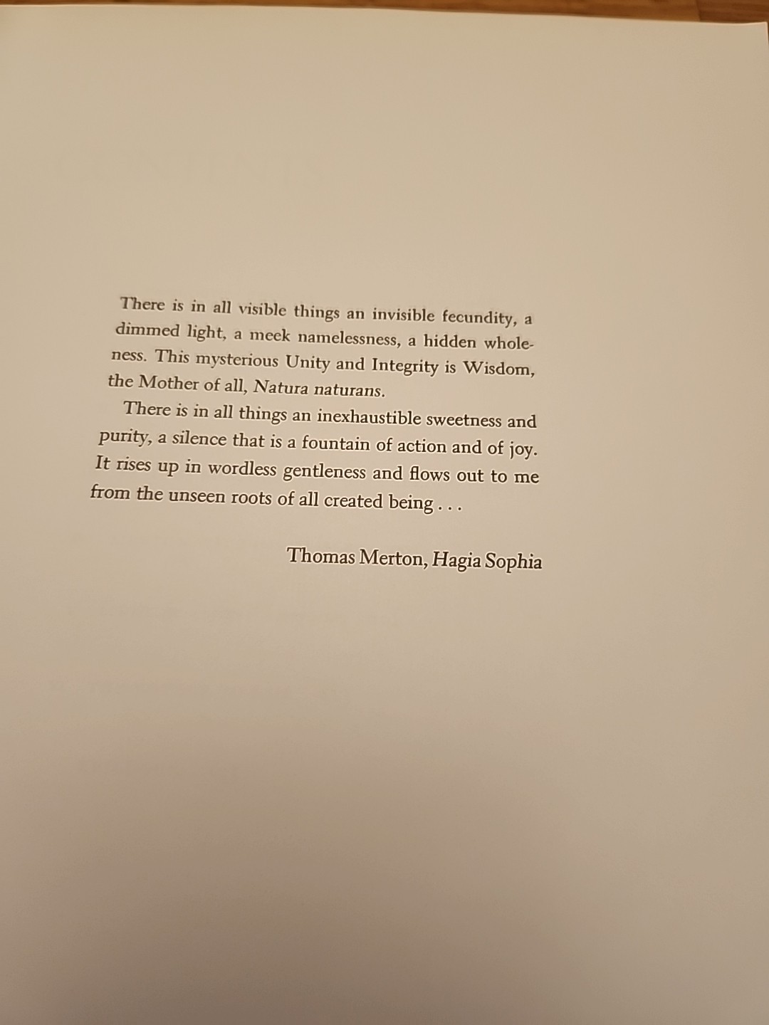 A HIDDEN WHOLENESS THE VISUAL WORLD OF THOMAS MERTON John Howard Griffin 1979