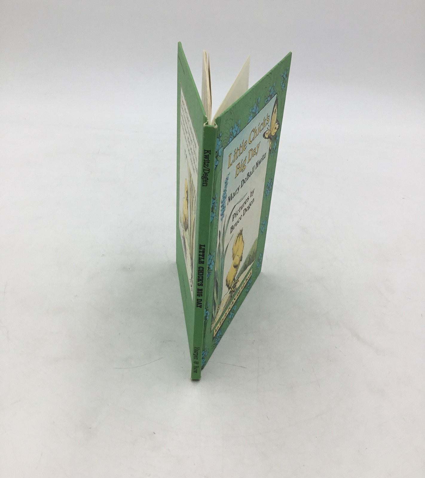 Little Chick’s Big Day Mary DeBall Kwitz Bruce Degen 1981 First Edition Book