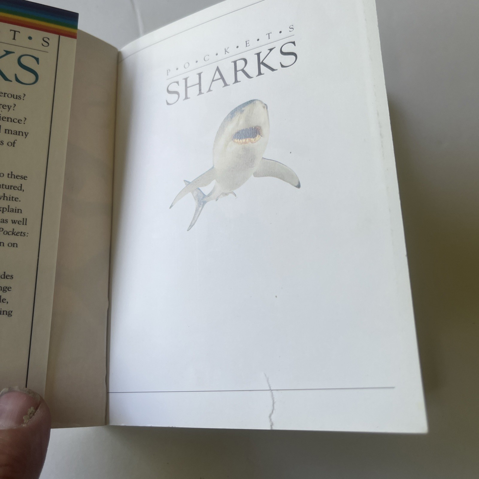 SHARKS DK Pockets Book📕Sharks by DK publishing Pockets Full Of Knowledge