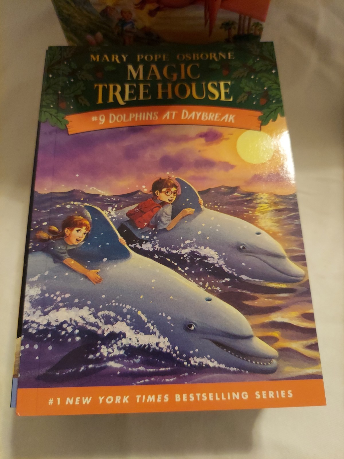 Magic Tree House Boxed Set – See Photographs For Titles !!!