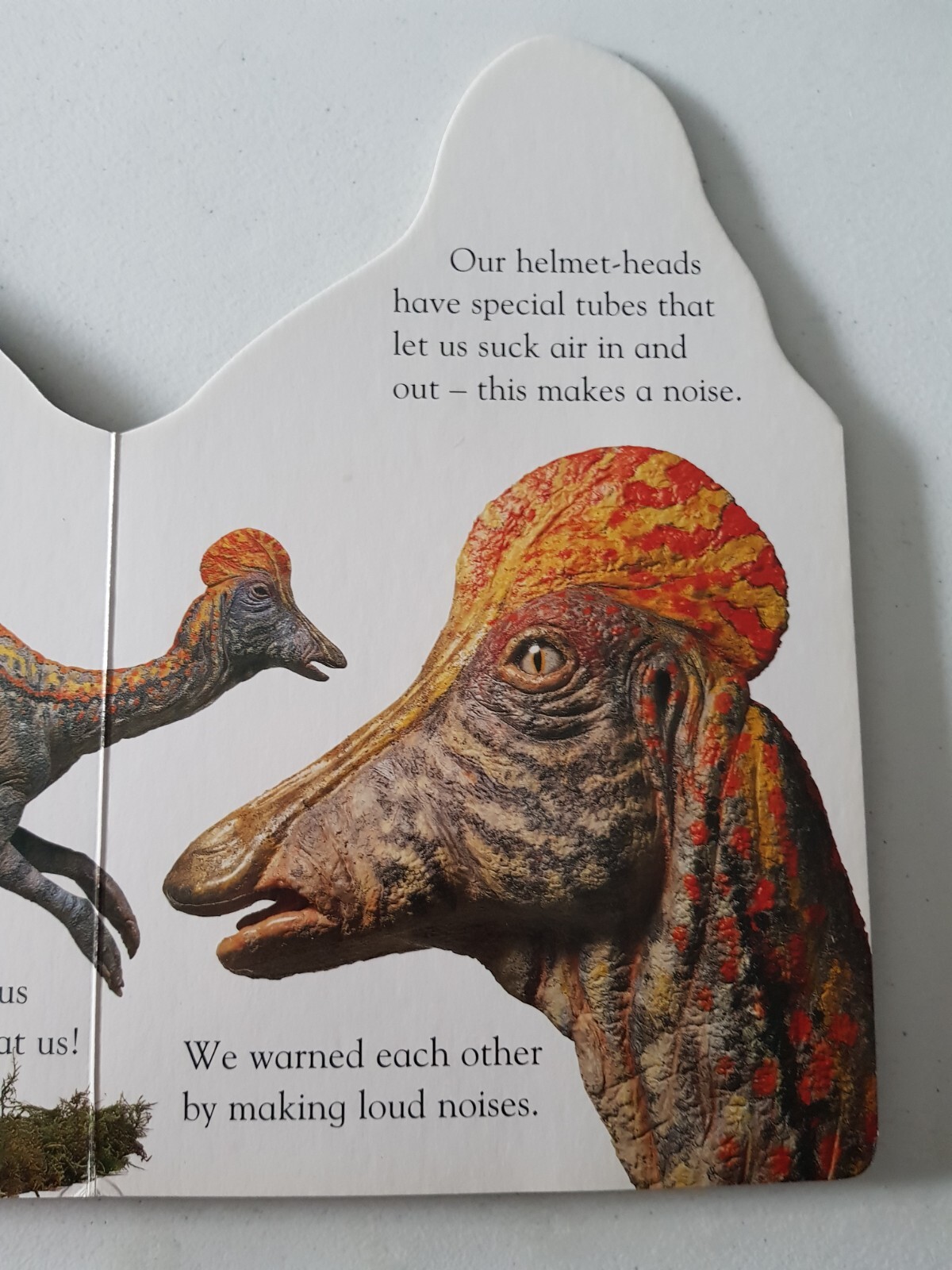 DK Board Book – Corythosaurus 2000 Nicola Deschamps Dinosaur