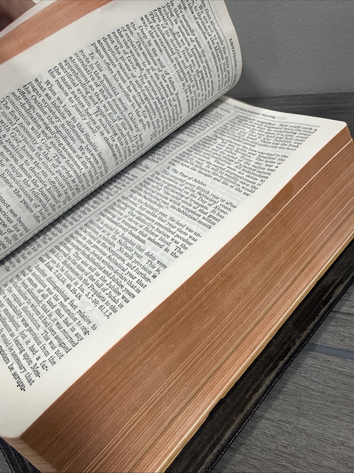 Holy Bible New Analytical Indexed Edition MOROCCO LEATHER Concordance Dickson