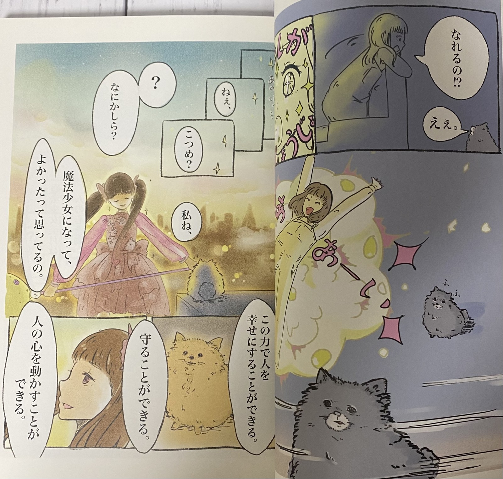 Magical Girl Mizuki Yamamoto Photobook Regular Edition Japan