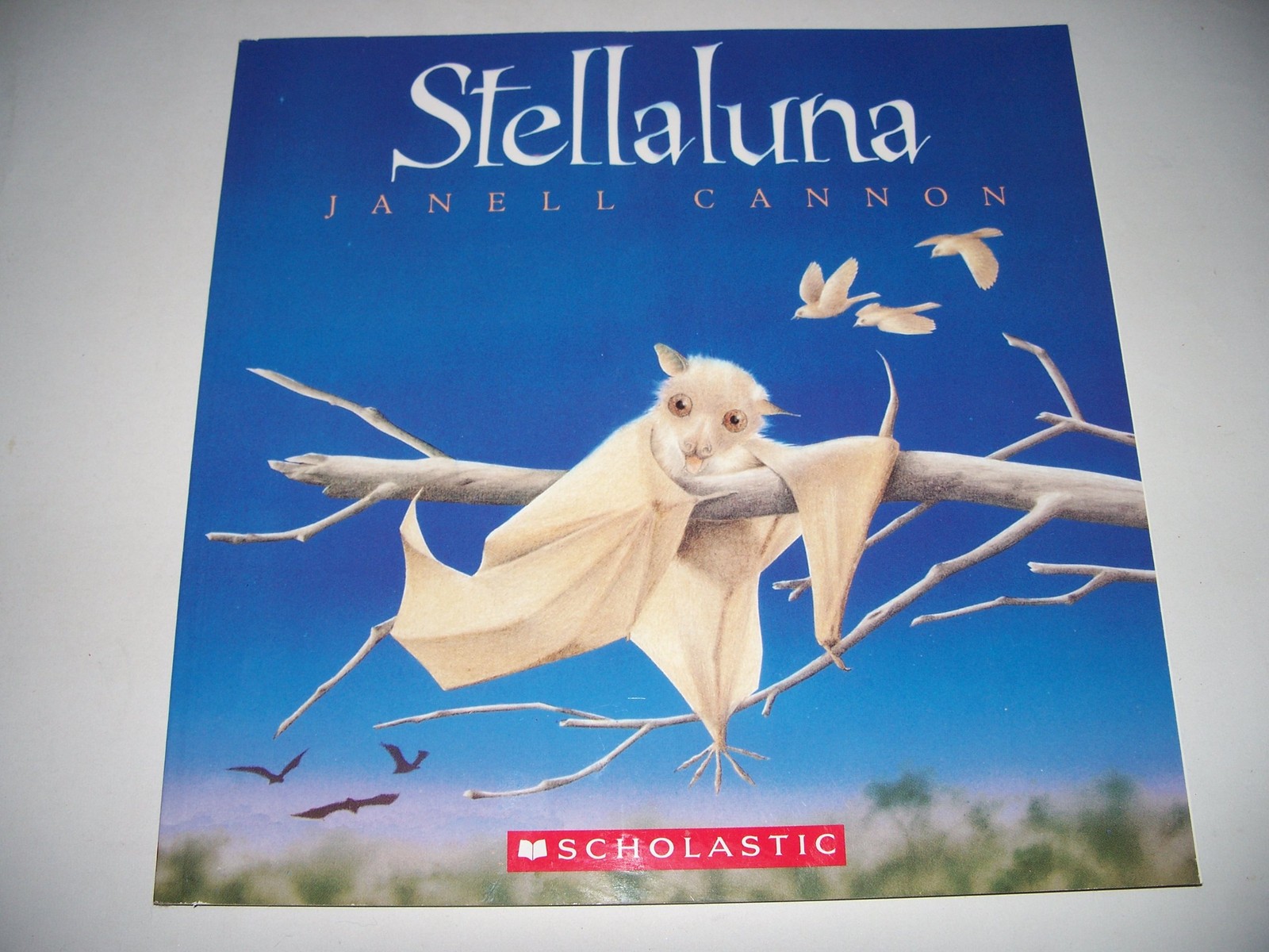 Stellaluna – paperback janell-cannon