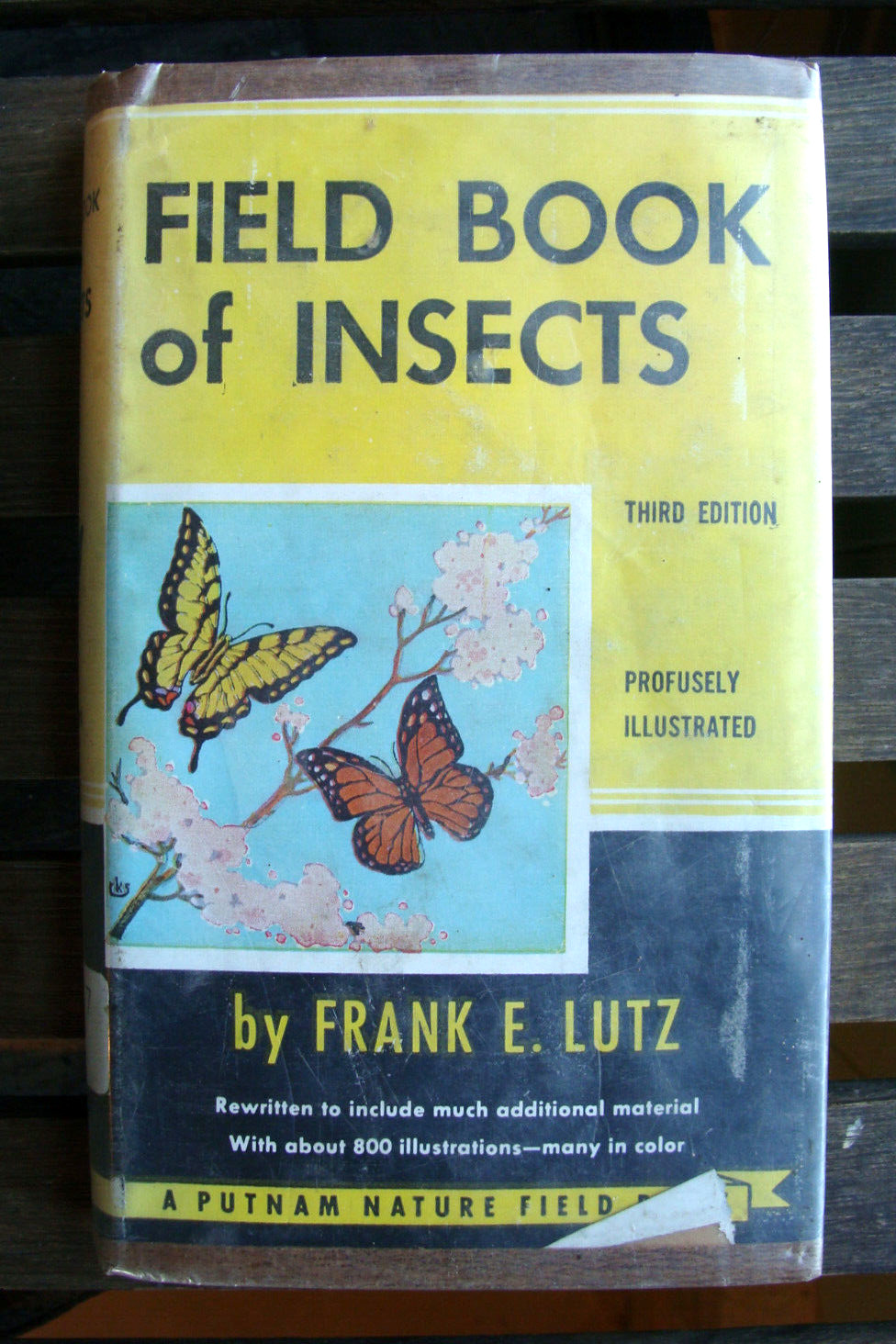 Field Book Of Insects ~1948 HC~ Lutz Entomology Bug Bee Moth Larva Butterfly 🦋