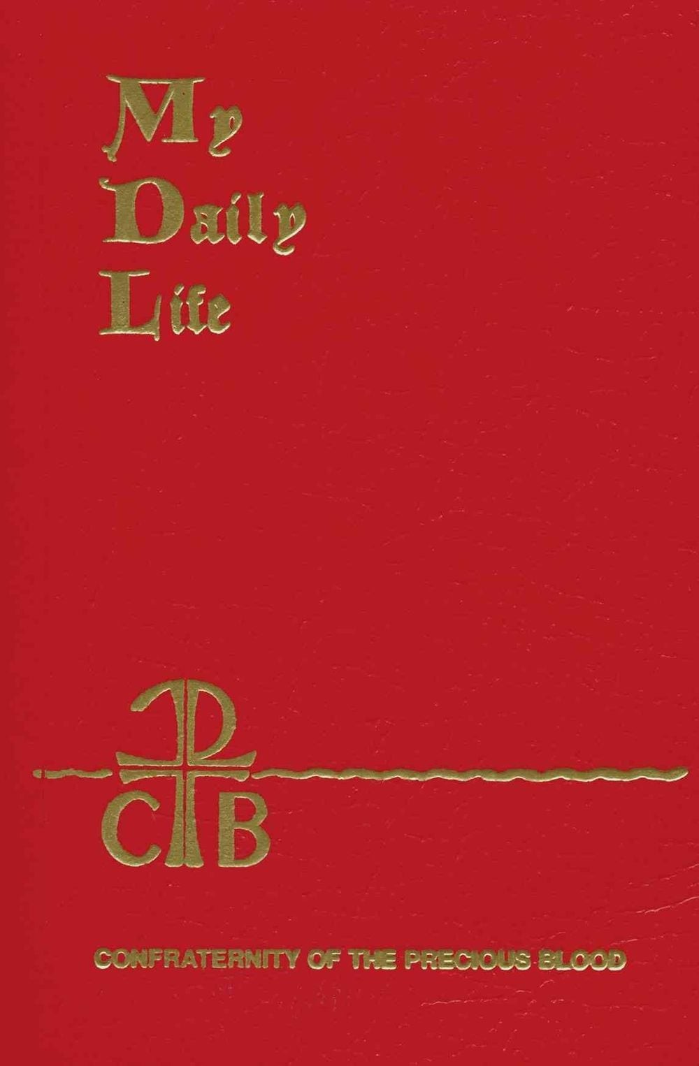 My Daily Life by Anthony J. Paone (English) Paperback Book