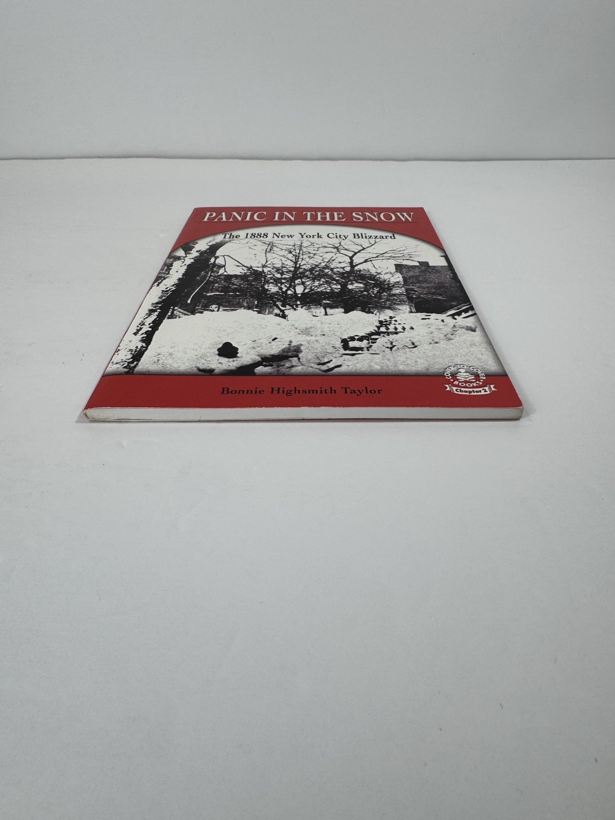 Panic in the Snow The 1888 New York City Blizzard