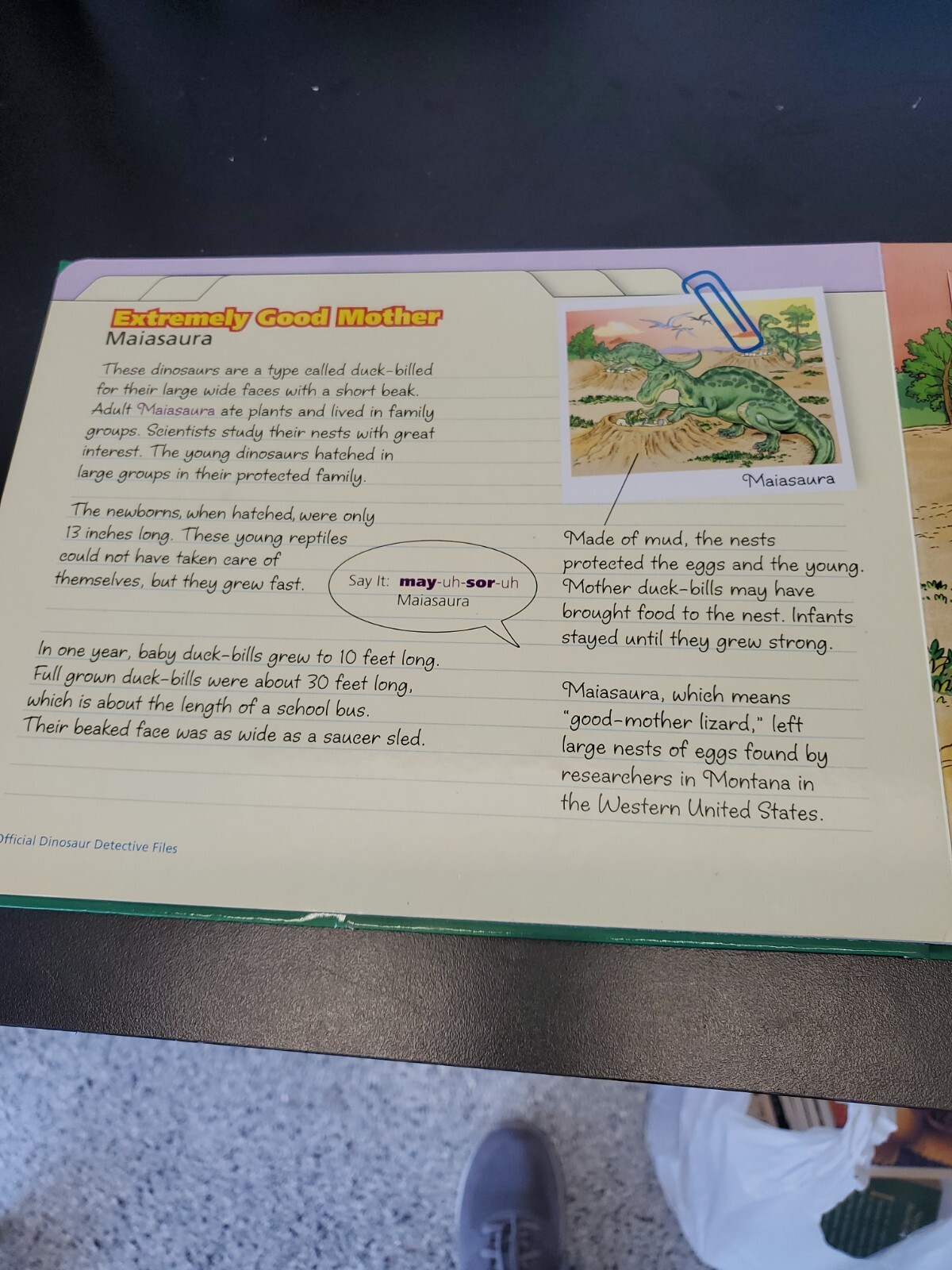 Discovering dinosaurs Book and 5 jigsaw puzzles