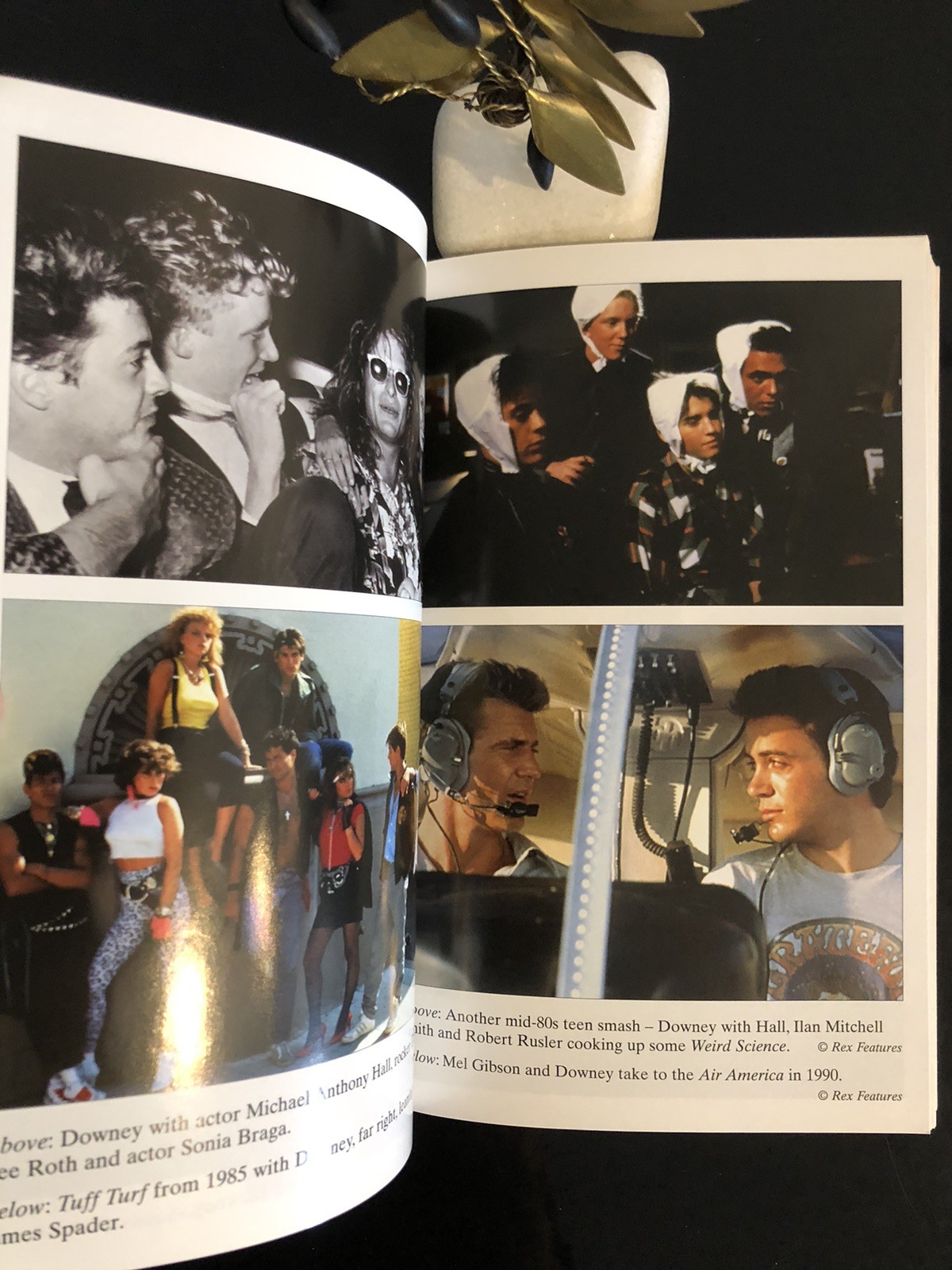Robert Downey Jr The Biography Martin Howden J Blake 2010 First Ed/F.Pr. SC LN