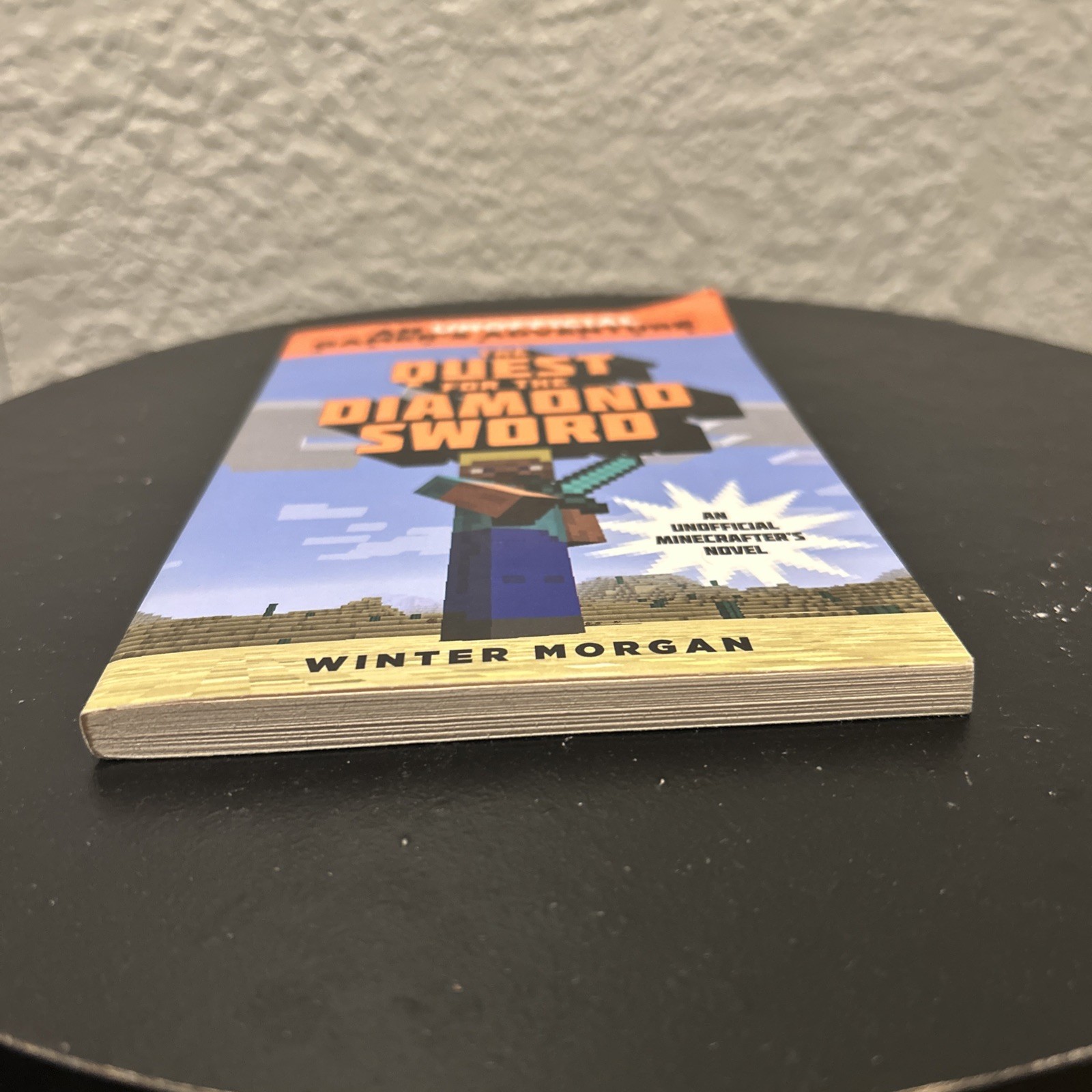 The Quest for the Diamond Sword: An Unofficial GamerÂ?s Adventu – GOOD